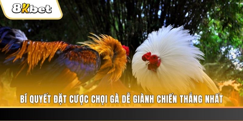 nhacai88 casino Đăng ký